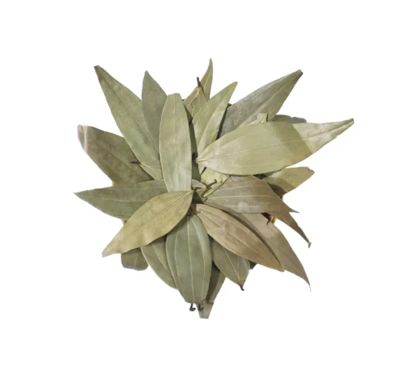 Bay Leaf