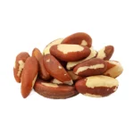 Brazil Nuts