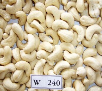 Cashew 240
