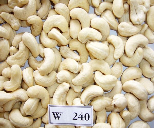 Cashew nuts WW240 Cheapest price in Vietnam