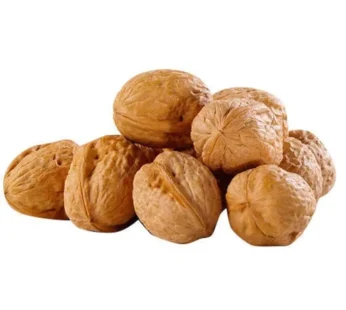 Walnut Shell