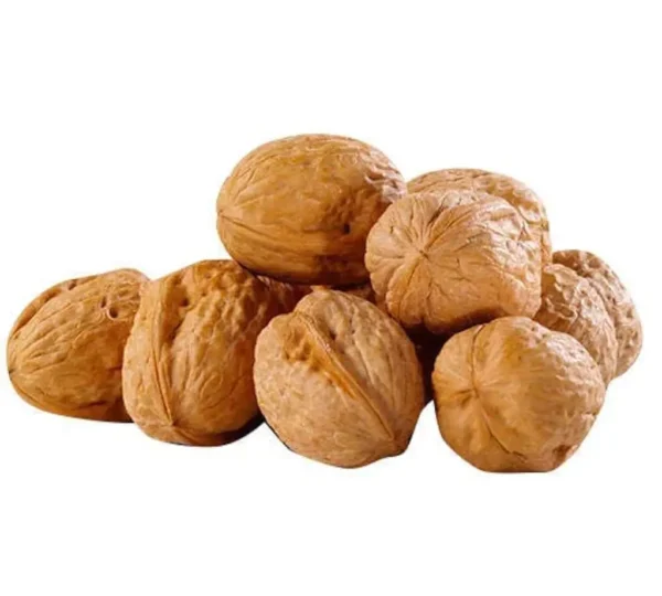 Walnut Shell