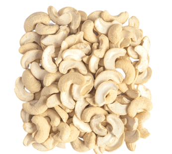 Cashew JH