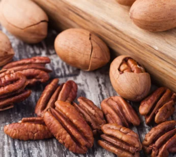 Pecan Nuts